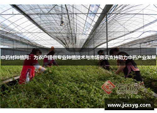 中药材种植网：为农户提供专业种植技术与市场资讯支持助力中药产业发展